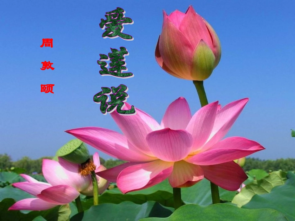 爱莲说 (3)_第3页