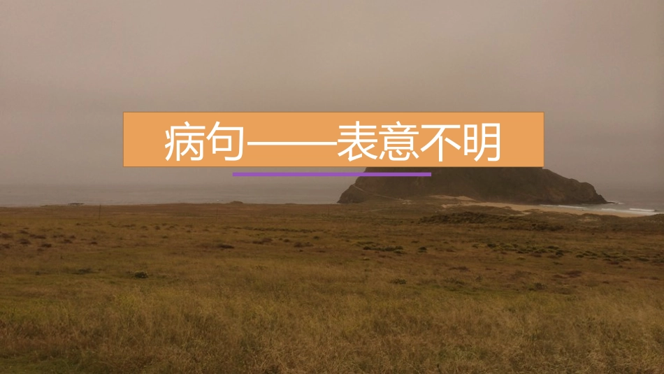 病句——表意不明_第1页