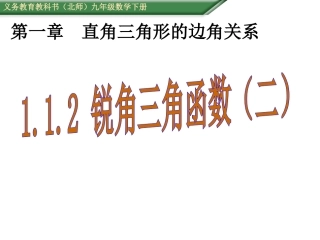 锐角三角函数（）