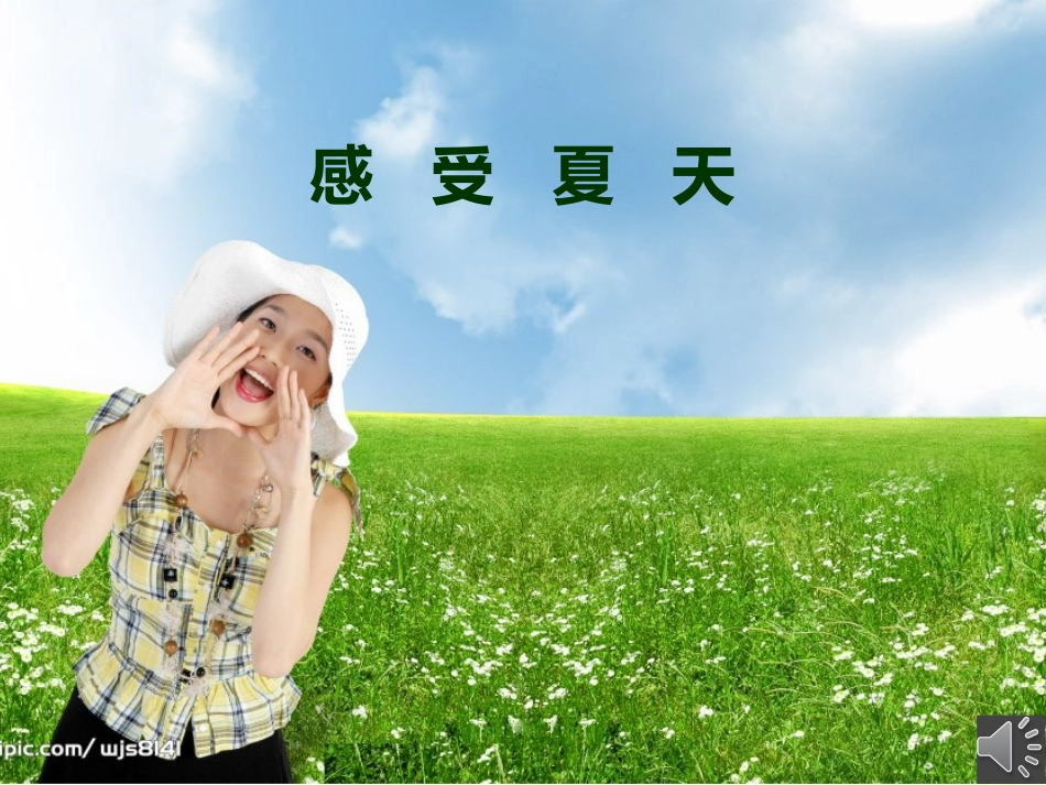 二班四组感受夏天_第1页