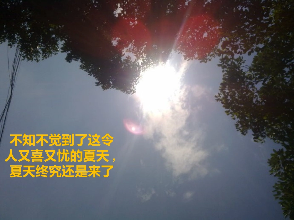 二班四组感受夏天_第2页