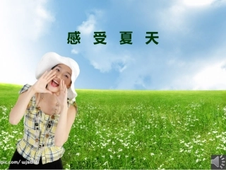二班四组感受夏天