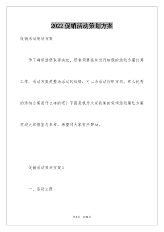 2024促销活动策划方案_3
