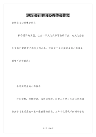 2024会计实习心得体会作文