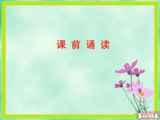 走进四大名著