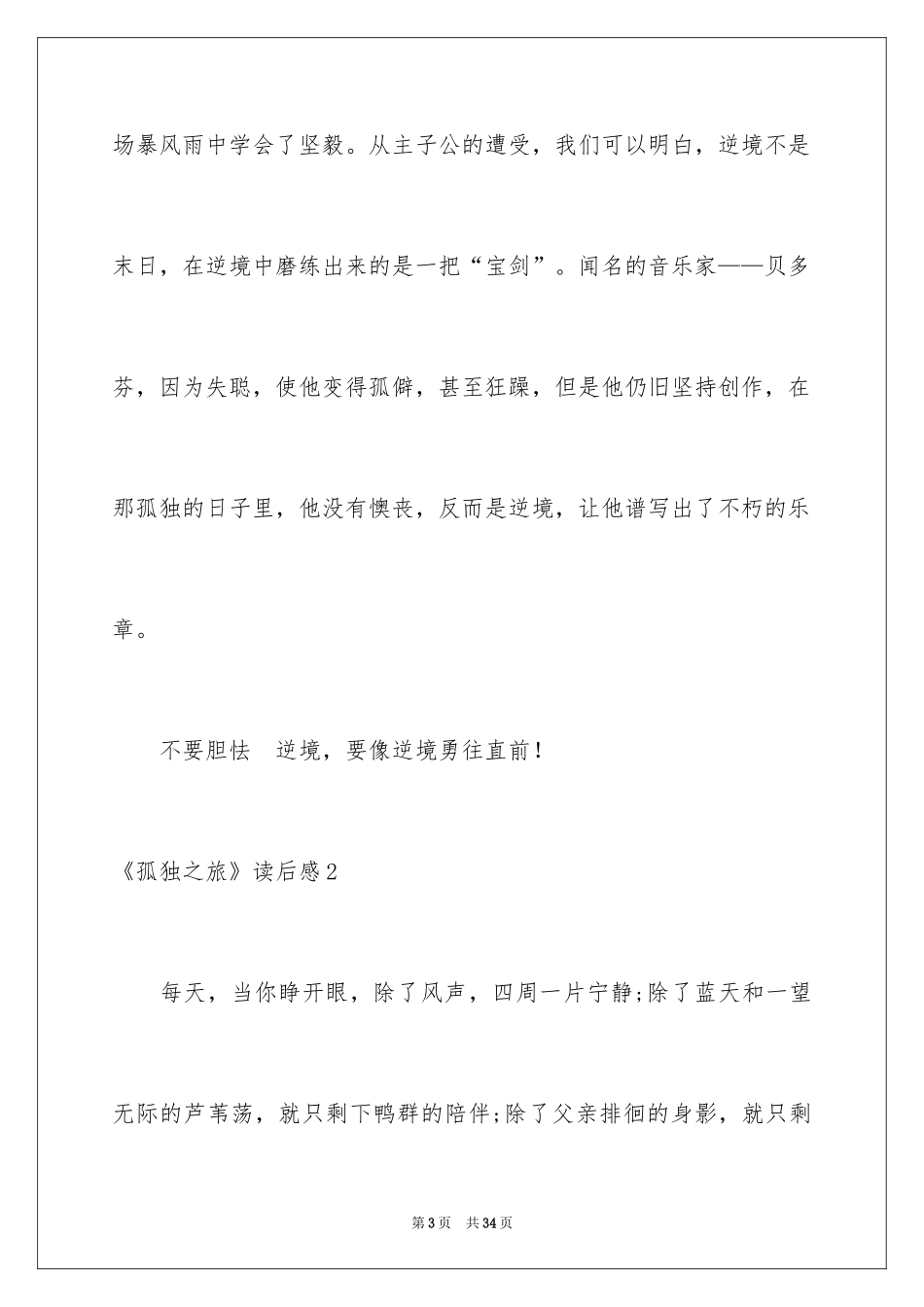 2024《孤独之旅》读后感_第3页