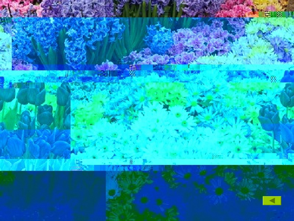 《自己的话是让别人看的》 (2)_第2页