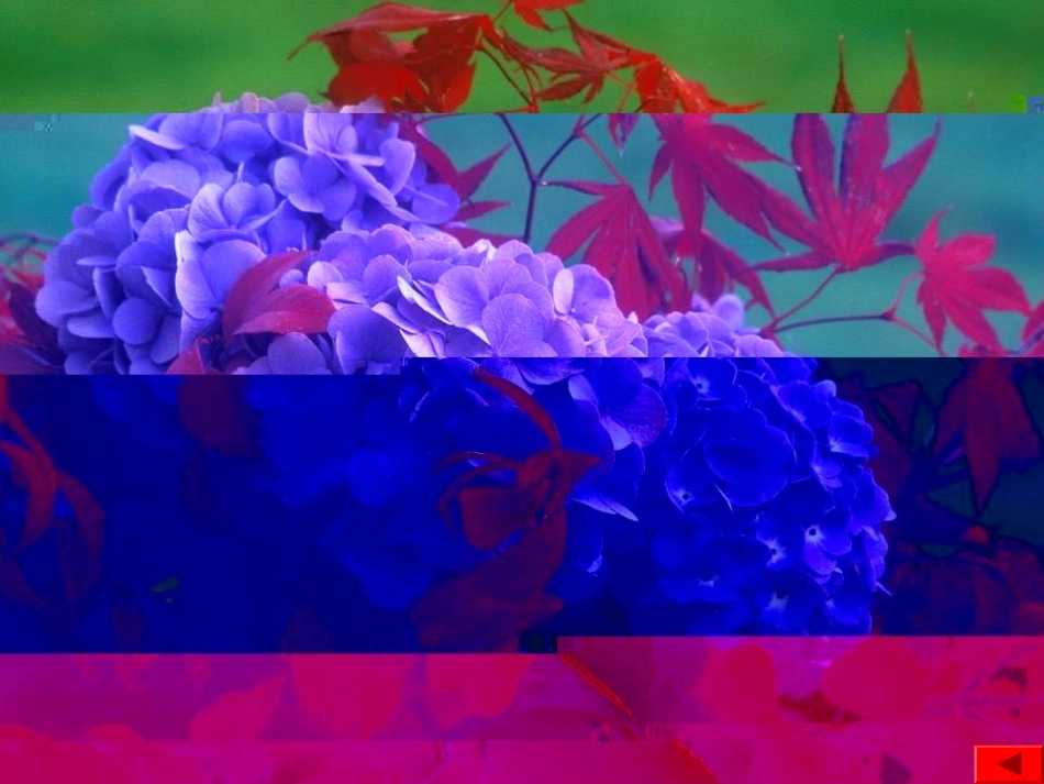 《自己的话是让别人看的》 (2)_第3页