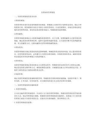 负债如何管理制度