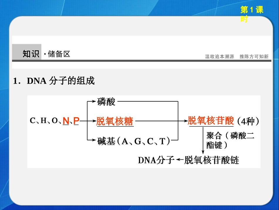 DNA重组技术的基本工具_第3页