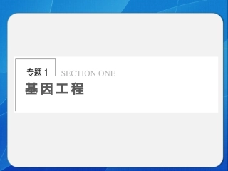 DNA重组技术的基本工具