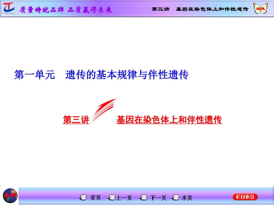 第三讲基因在染色体上和伴性遗传 (2)_第1页