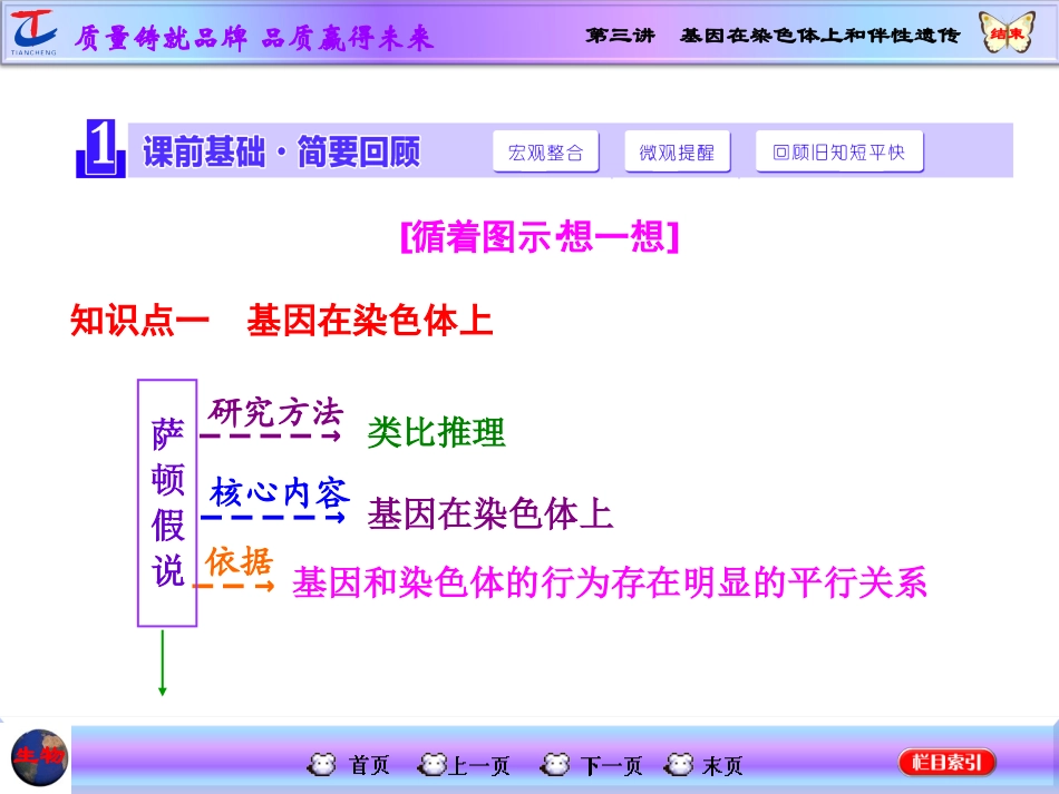 第三讲基因在染色体上和伴性遗传 (2)_第2页