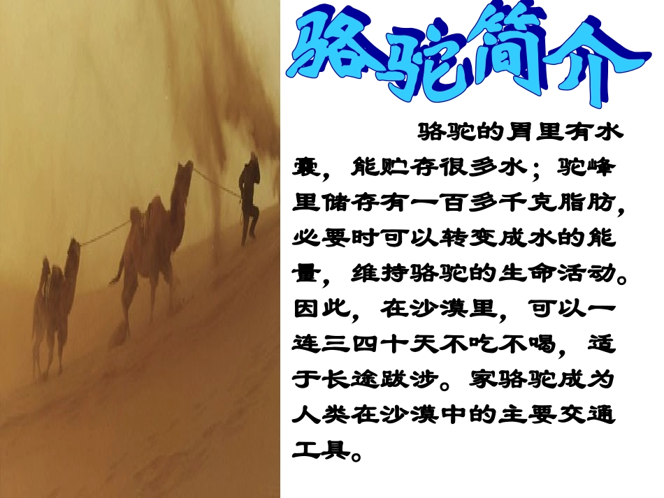 找骆驼（2）_第2页