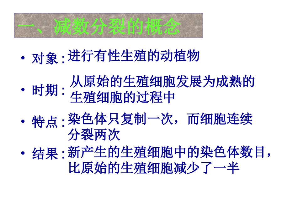【生物】21减数分裂和受精作用课件1（人教版必修2）_第3页