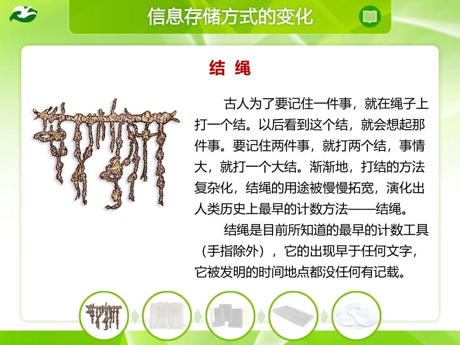 信息的存储与传递_第2页