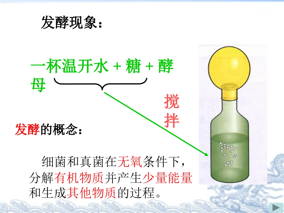 细菌真菌和食品的制作与保存_第3页