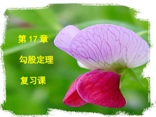 勾股定理复习课件