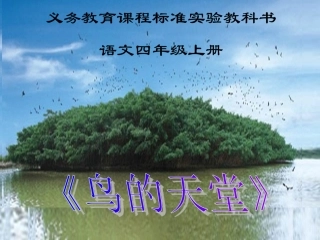 四年级上语文课件-鸟的天堂-人教版