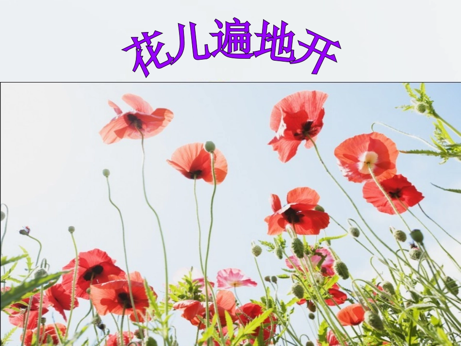 作品欣赏《花儿遍地开》_第1页