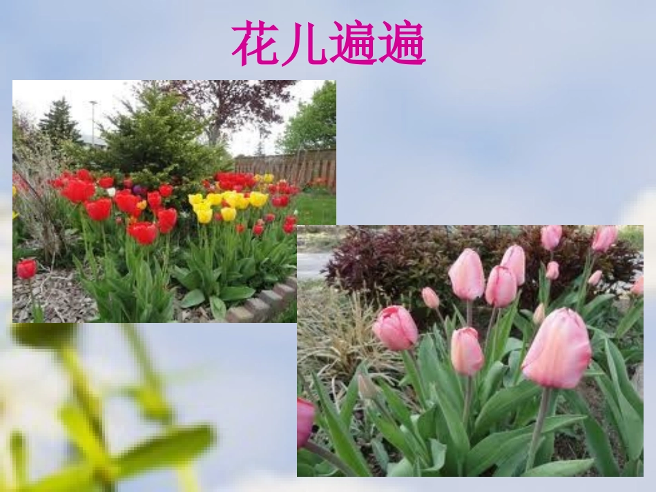 作品欣赏《花儿遍地开》_第2页