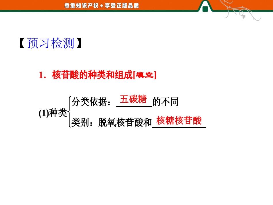 遗传信息的携带者——核酸_第2页