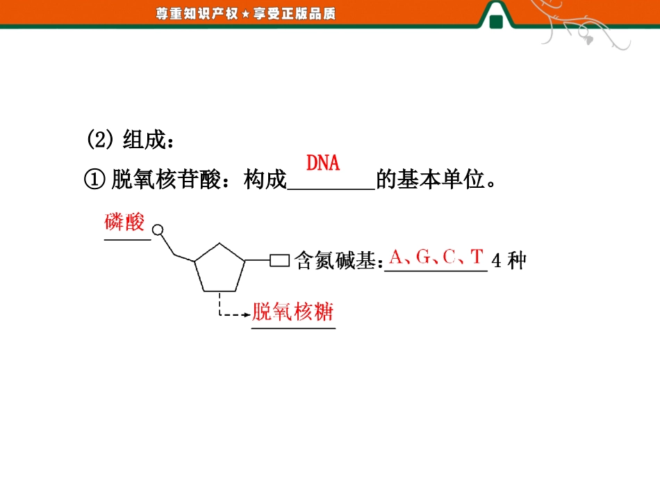 遗传信息的携带者——核酸_第3页