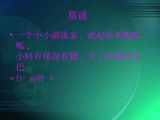 八年级下13《两栖动物的生殖和发育》