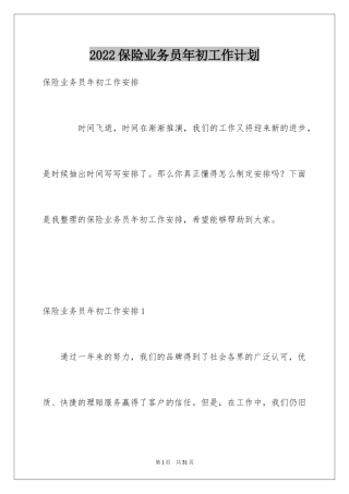 2024保险业务员年初工作计划