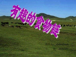 有趣的食物链课件[1]