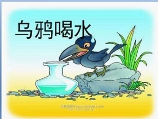 乌鸦喝水 (2)
