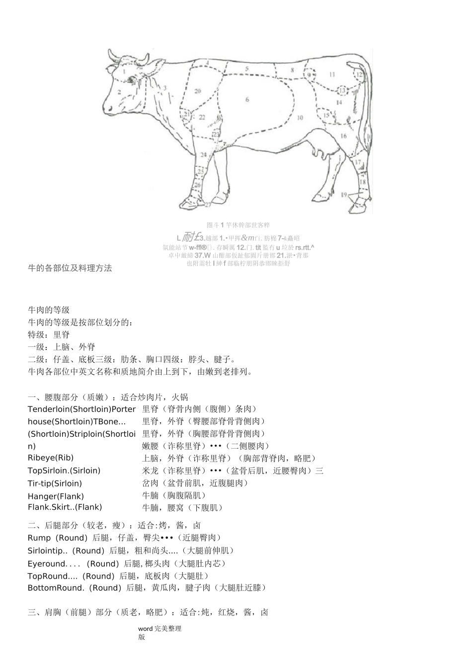 牛肉的部位图解和做法+牛肉各个部位分布图及质地简介_第3页