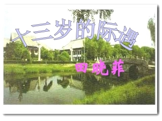 十三岁的际遇修订稿梅