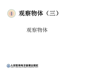 观察物体（例2）