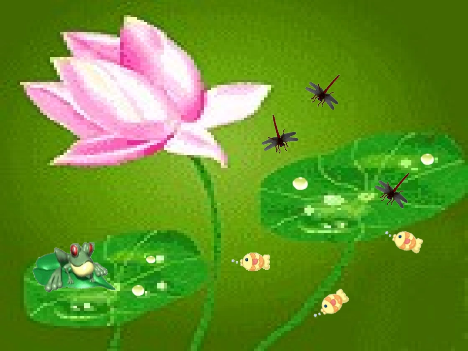 荷叶圆圆课件 (2)_第3页