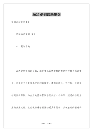 2024促销活动策划_167