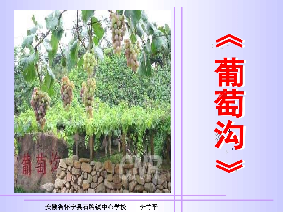 葡萄沟2课件_第1页