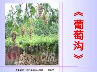 葡萄沟2课件