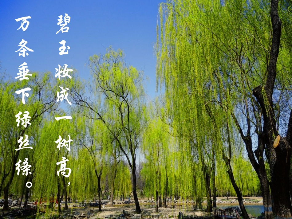 四下U6乡村四月_第2页