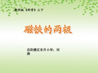 磁铁的两极PPT三下