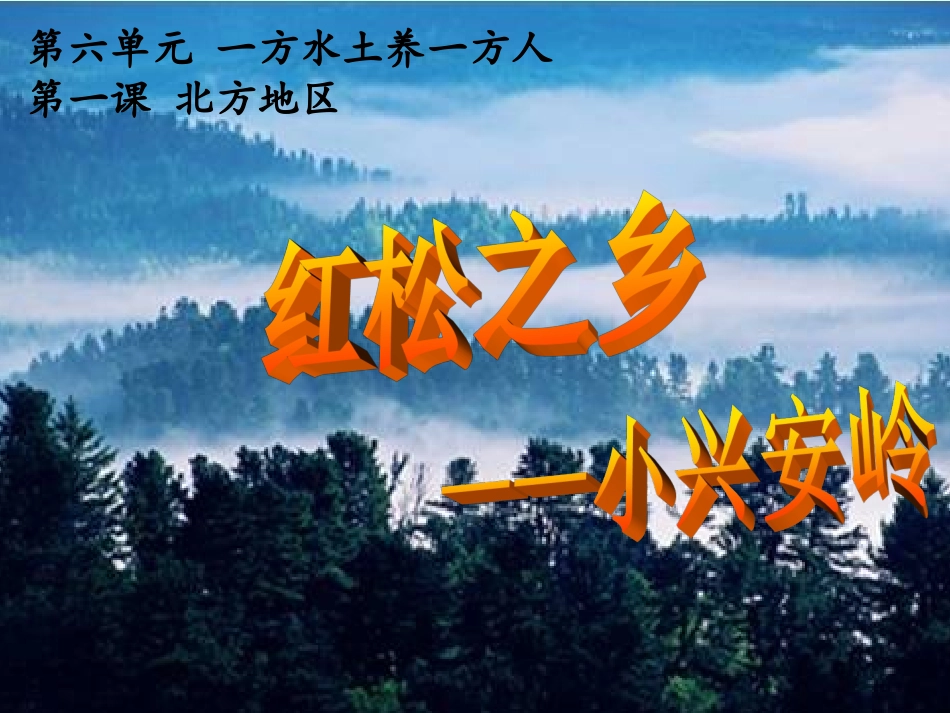 红松之乡课件_第2页