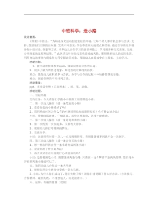 中班科学《造小路》