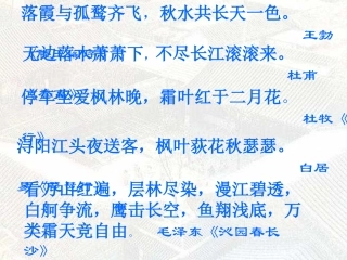 《故都的秋》课件15