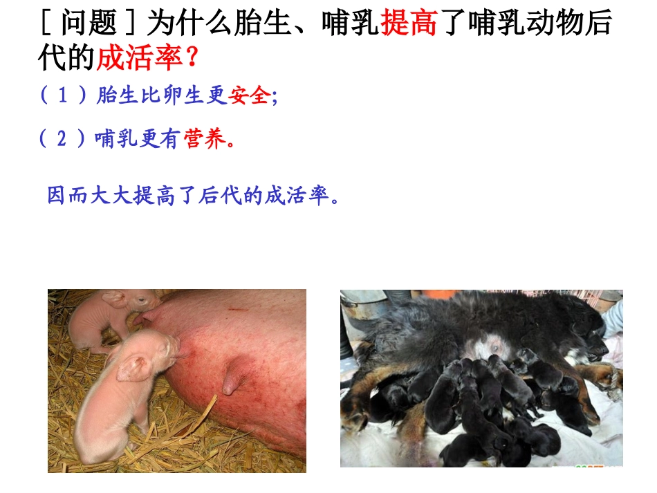 第七节哺乳动物(好)_第3页