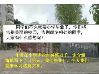 课件_《明天，我们毕业》_郑世涛