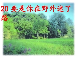人教版小学二年级语文下册第20课《要是你在野外迷了路》课件