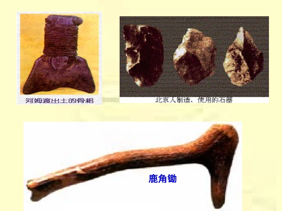 七年级历史上册第7课大变革的时代_第3页