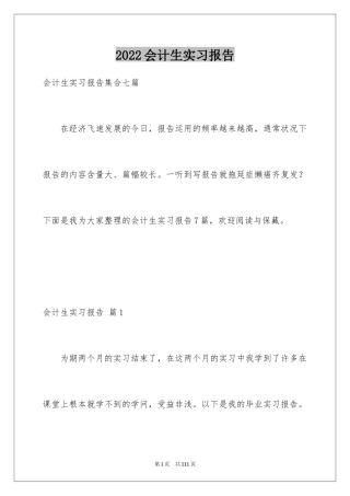 2024会计生实习报告_30