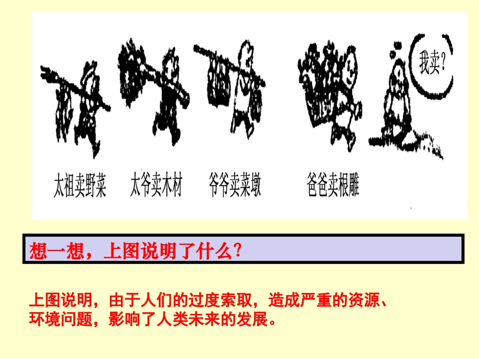 第一框实施可持续发展战略_第1页