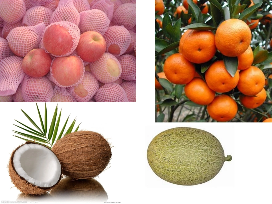 2013秋商务星球版八上第二节《气候基本特征》（59张）_第3页